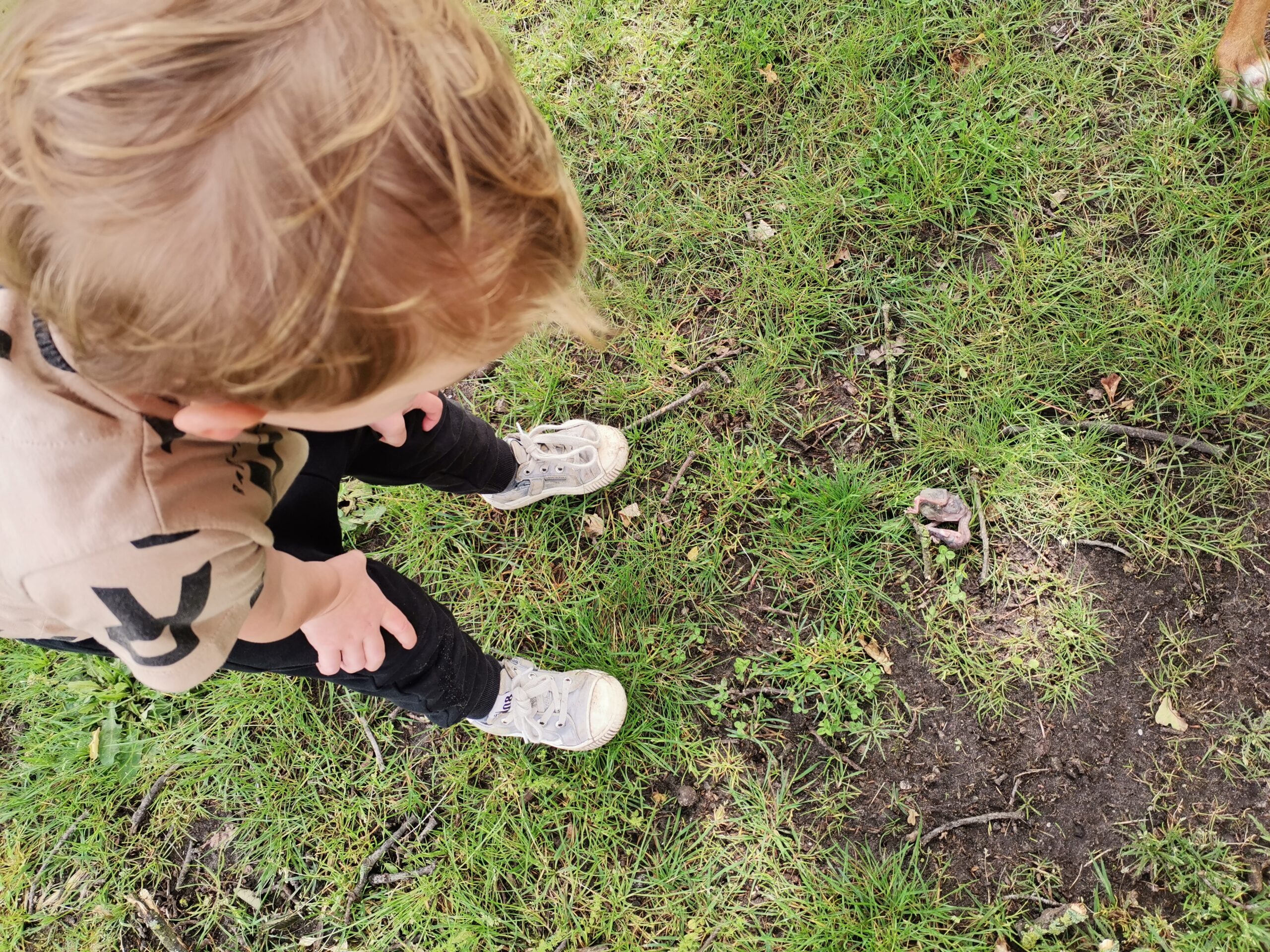 7. Kinderopvang de Zevenmijlslaars_tineke_1
